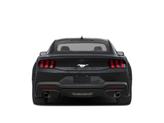Thumbnail of 2024 Oxford White Ford Mustang