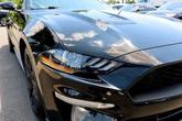 Thumbnail of 2019 Shadow Black Ford Mustang