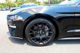 Thumbnail of 2019 Shadow Black Ford Mustang