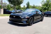 Thumbnail of 2019 Shadow Black Ford Mustang