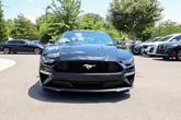 Thumbnail of 2019 Shadow Black Ford Mustang
