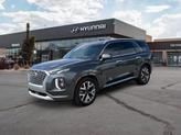 Photo of 2022 Rainforest Hyundai PALISADE