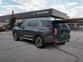 Thumbnail of 2022 Rainforest Hyundai PALISADE