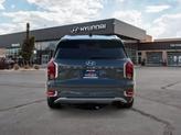 Thumbnail of 2022 Rainforest Hyundai PALISADE