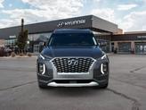 Thumbnail of 2022 Rainforest Hyundai PALISADE
