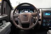 Thumbnail of 2014 Sunset Ford F-150