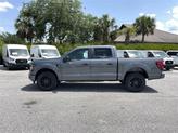 Thumbnail of 2025 Carbonized Gray Metallic Ford F-150