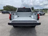 Thumbnail of 2023 Avalanche Ford F-150 Lightning