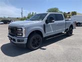 Thumbnail of 2025 Glacier Gray Metallic Tri-Coat Ford F-250
