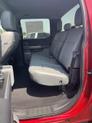 Thumbnail of 2025 Rapid Red Metallic Tinted Clearcoat Ford F-150 Lightning