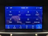 Thumbnail of 2021 Carbonized Gray Metallic Ford Shelby GT500