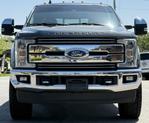 Thumbnail of 2019 Magnetic Ford F-250