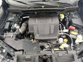 Thumbnail of 2023 Green Subaru Forester