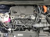 Thumbnail of 2022 Blue Toyota Sienna