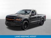Thumbnail of 2025 Agate Black Metallic Ford F-150