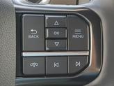 Thumbnail of 2025 Gray Ford F-150