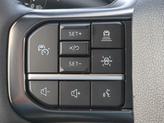 Thumbnail of 2025 Gray Ford F-150