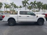 Thumbnail of 2021 Oxford White Ford F-150