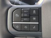 Thumbnail of 2025 Agate Black Metallic Ford F-250