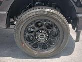 Thumbnail of 2025 Agate Black Metallic Ford F-250