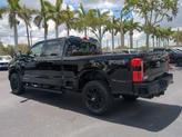 Thumbnail of 2025 Agate Black Metallic Ford F-250