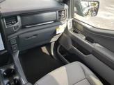 Thumbnail of 2025 Agate Black Metallic Ford F-150 Lightning