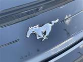 Thumbnail of 2022 Shadow Black Ford Mustang