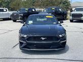 Thumbnail of 2022 Shadow Black Ford Mustang