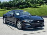 Photo of 2022 Shadow Black Ford Mustang
