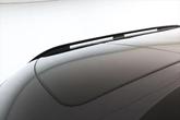Thumbnail of 2025 Panthera Metal Kia EV9