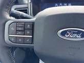 Thumbnail of 2025 Glacier Gray Metallic Tri-Coat Ford F-350
