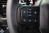 Thumbnail of 2023 Avalanche Gray Ford F-150