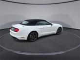 Thumbnail of 2022 Oxford White Ford Mustang