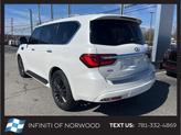 Thumbnail of 2024 Moonstone White INFINITI QX80
