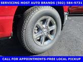Thumbnail of 2025 Rapid Red Metallic Tinted Clearcoat Ford F-150