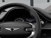 Thumbnail of 2025 Vik Black Genesis GV70