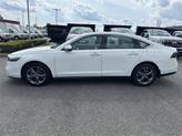 Thumbnail of 2023 White Honda Accord