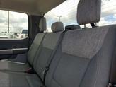 Thumbnail of 2023 Stone Gray Metallic Ford F-150