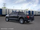 Thumbnail of 2025 Black Ford F-150