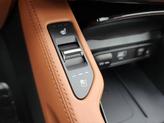 Thumbnail of 2025 Jungle Green Kia Telluride