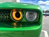 Thumbnail of 2016 Green Dodge Challenger