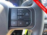 Thumbnail of 2025 Agate Black Metallic Ford F-150