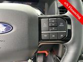 Thumbnail of 2025 Grey Ford F-150 Lightning