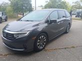 Photo of 2022 Gray Honda Odyssey