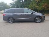 Thumbnail of 2022 Gray Honda Odyssey