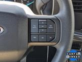 Thumbnail of 2023 Area 51 Blue Ford F-150