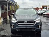 Thumbnail of 2019 Baltic Sea Ford Escape