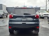 Thumbnail of 2019 Baltic Sea Ford Escape
