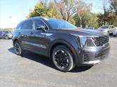 Thumbnail of 2025 Panthera Metal Kia Sorento