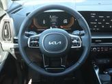 Thumbnail of 2025 Panthera Metal Kia Sorento